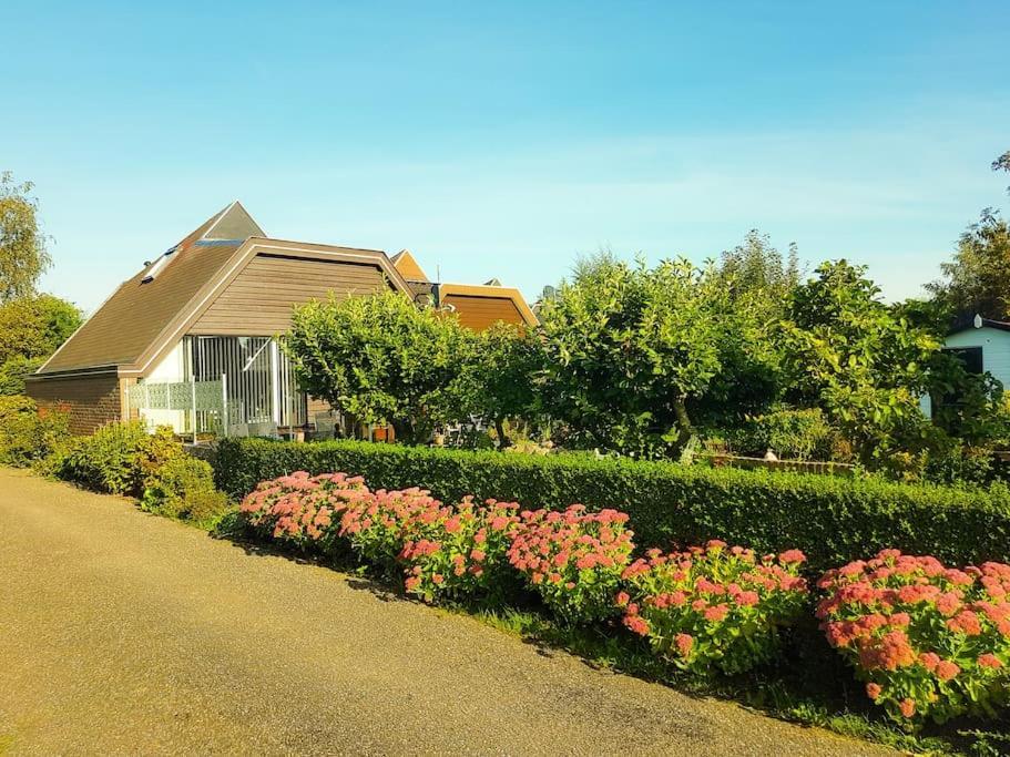 Lovely House Till 6 P. Near Amsterdam, Sea Apartment Opmeer Bagian luar foto