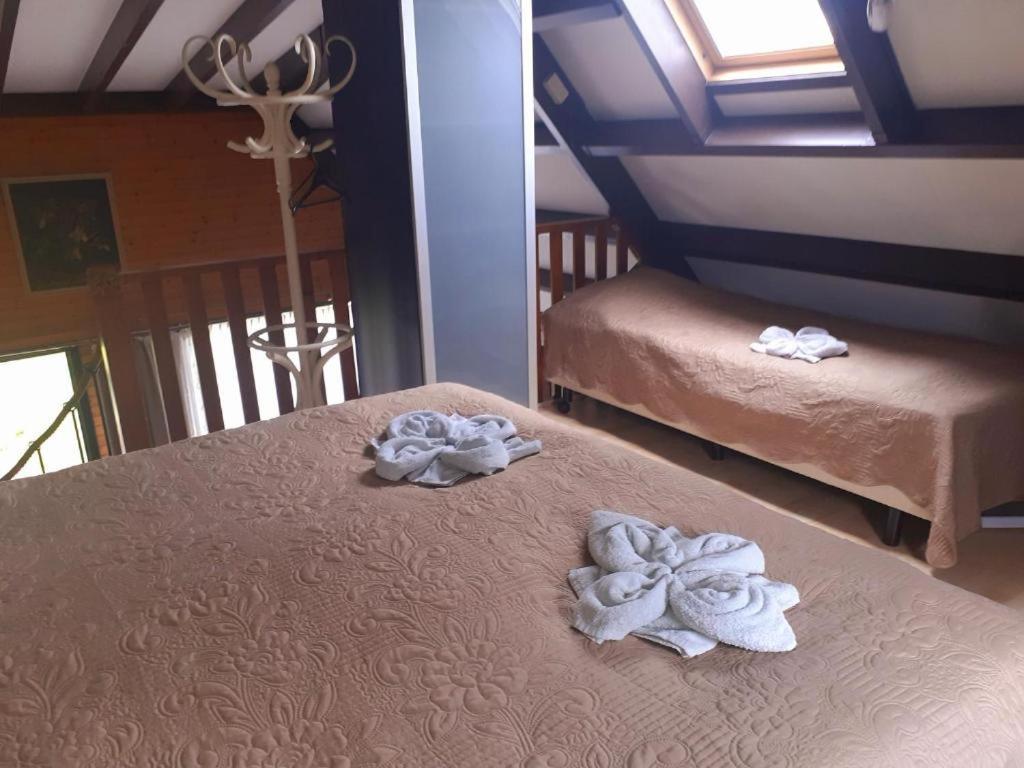 Lovely House Till 6 P. Near Amsterdam, Sea Apartment Opmeer Bagian luar foto